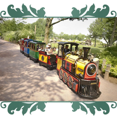 Trackless Train in the Park